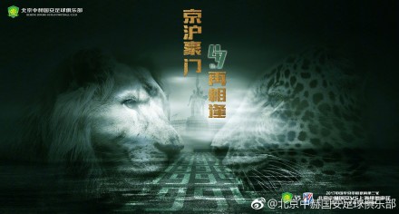 苏菲亚电影在线观看